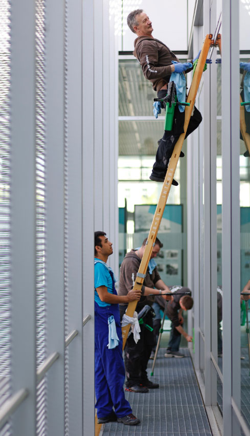 Gruppe Fensterreiniger